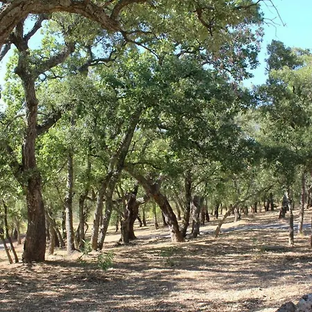 Happy Trimurti Cogolin