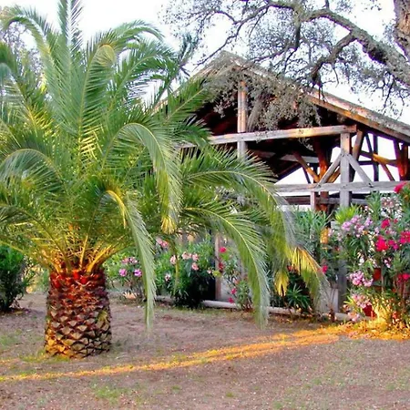 Happy Trimurti * Cogolin